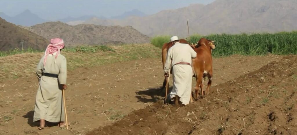 من مذاهب آل سعدٍ في الطين