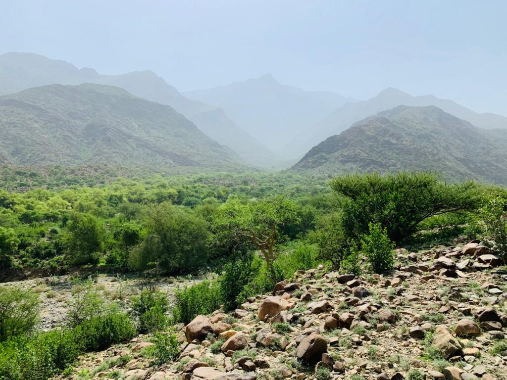 من المذاهب والعوايد والتقاليد